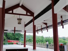 -三水森林公园