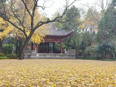 -汇龙潭