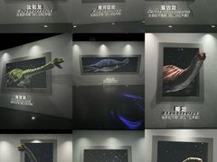-天津自然博物馆