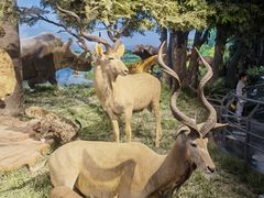 -国家自然博物馆