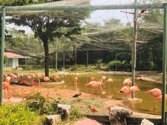 -石家庄市动物园