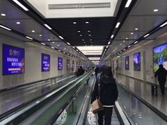 -青岛胶东国际机场