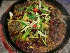 -老板恋上鱼(恒隆广场店)