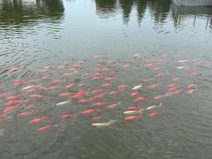 -石家庄市植物园