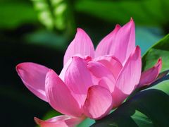 -羊亭河湿地公园