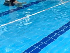 -小海豚国际游泳培训中心(浦东塘桥店)