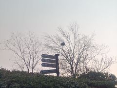 -仁爱团泊湖温泉中心