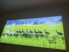 -杨厨的田园饭店(长城路店)