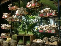 android_upload_pic-大头椰·椰子鸡火锅(南宁万象城店)