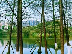 -重庆彩云湖湿地公园