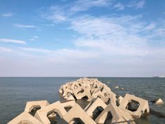 -东疆建设开发纪念公园