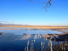 -野鸭湖国家湿地公园