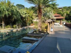 -罗浮山嘉宝田森林温泉度假酒店