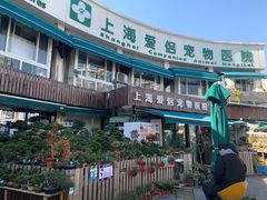 -爱侣宠医·鹦鹉专科·小型哺乳类·异宠专科(灵石路店)