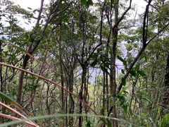 -梧桐山风景名胜区