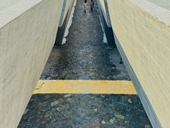 -海源公园