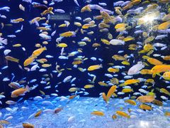 -成都浩海立方海洋公园