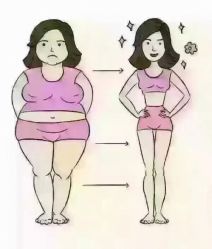 -香薇妮丝女子减肥院