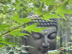 -杭州植物园
