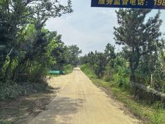 -日照海滨国家森林公园