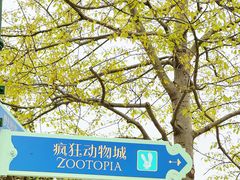 -上海迪士尼度假区