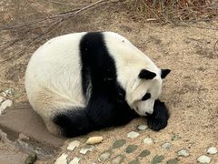 -青藏高原野生动物园