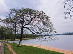 -松山湖风景区松湖烟雨