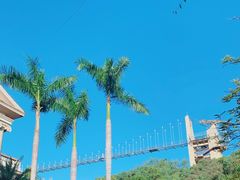 -客天下恐龙水晶玻璃桥