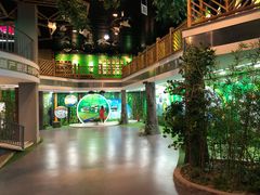 -黄海国家森林公园