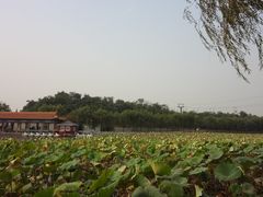 -南戴河国际娱乐中心