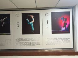 -天津拉丁舞培训中心
