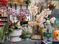 -FEI FEI FLOWER鲜花店·气球派对·宝宝宴布置(虹口德必运动Loft店)