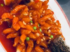 -九里云松·天香餐厅