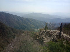 -王顺山国家森林公园