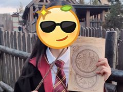 -哈利波特魔法世界