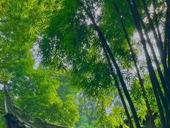 -成都杜甫草堂博物馆