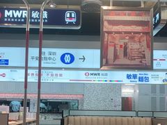 -敏华冰厅(平安金融中心店)