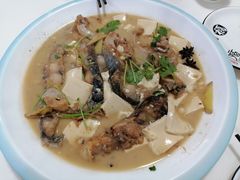 稀鳞鲑家常炖豆腐-煲来饱去冷水鱼