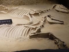 -洛阳周王城天子驾六博物馆