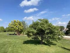 -安德鲁户外烧烤帐篷营地(马泉营店)