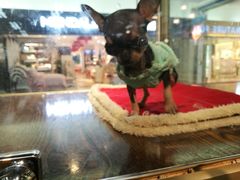 -乐宠宠物店(世纪金源店)