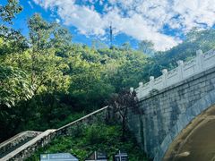 -白水寺森林公园