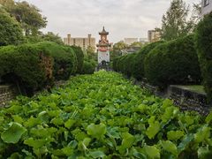 -四川大学(华西校区)