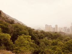 -兰山公园
