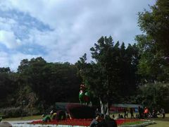 -金鸡山公园