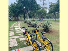 -海口骑楼小吃街