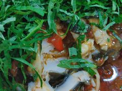 -老字号怡玺·藿香雅鱼(20年雅安店)