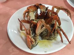 -莲花公园煎蟹(总店)