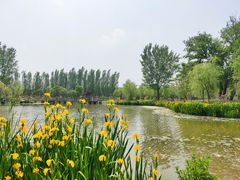 -东郊湿地公园