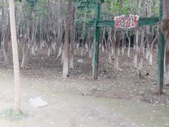 -亲兄弟真人CS团建拓展基地